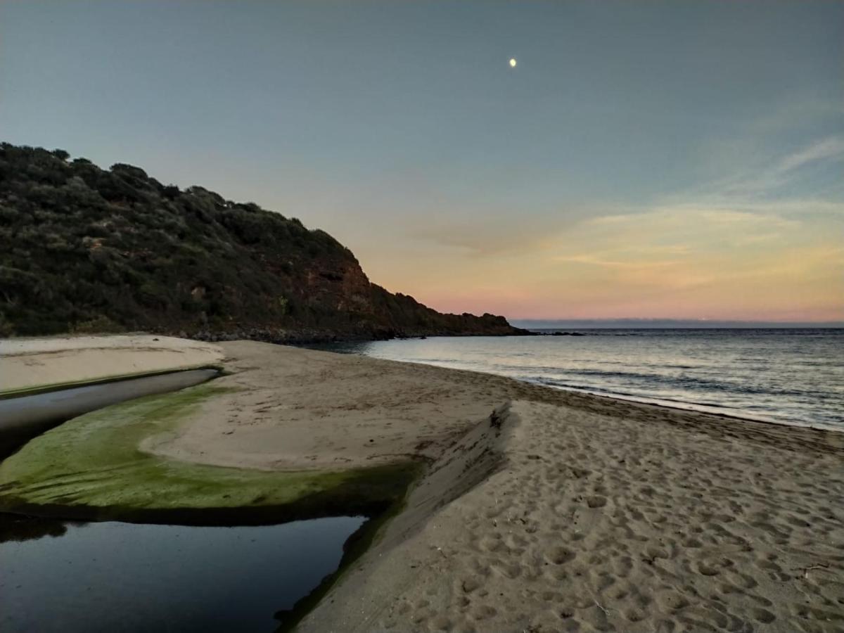 Appartamento A 50 Mt Dal Mare กาลาโกโนเน ภายนอก รูปภาพ