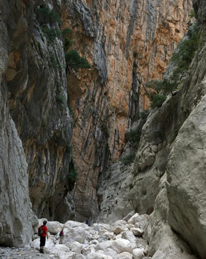Appartamento A 50 Mt Dal Mare กาลาโกโนเน ภายนอก รูปภาพ