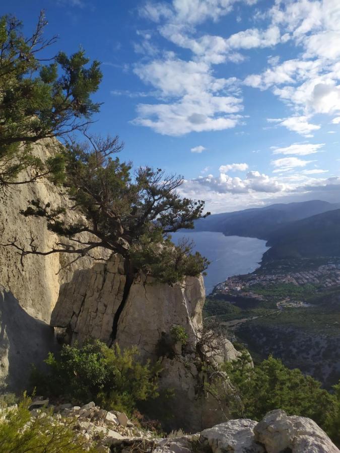 Appartamento A 50 Mt Dal Mare กาลาโกโนเน ภายนอก รูปภาพ